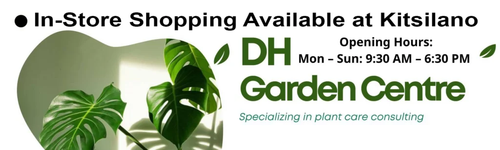 3742 West 10th Avenue, Vancouver, BC V6R 2G4, Canada