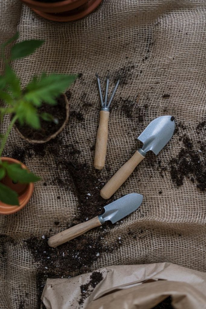 Discover budget-friendly gardening hacks at DH Garden Central