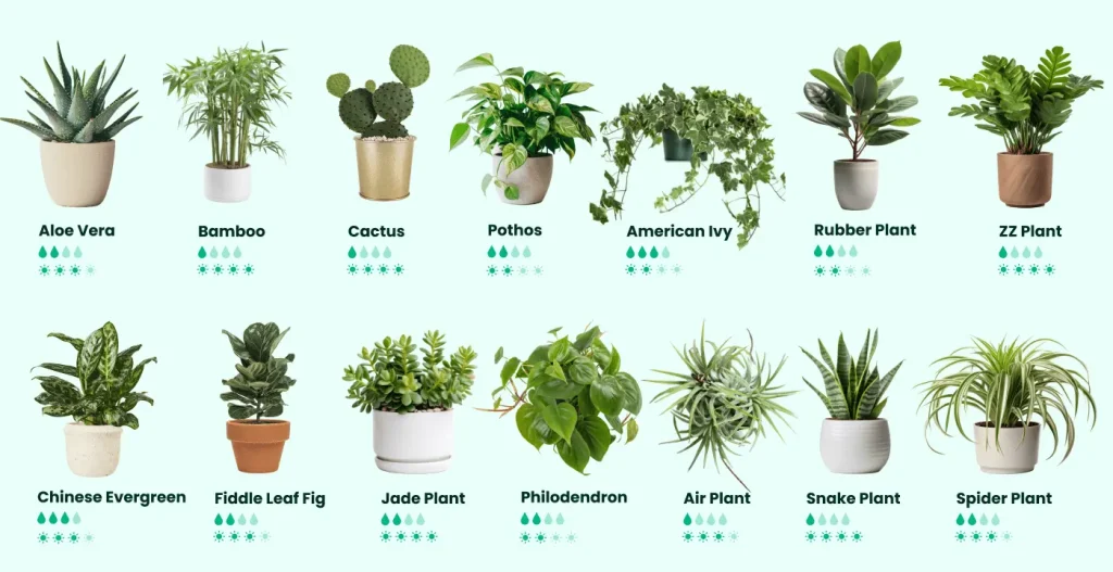 The Best Air-Purifying Plants for a Healthier Home