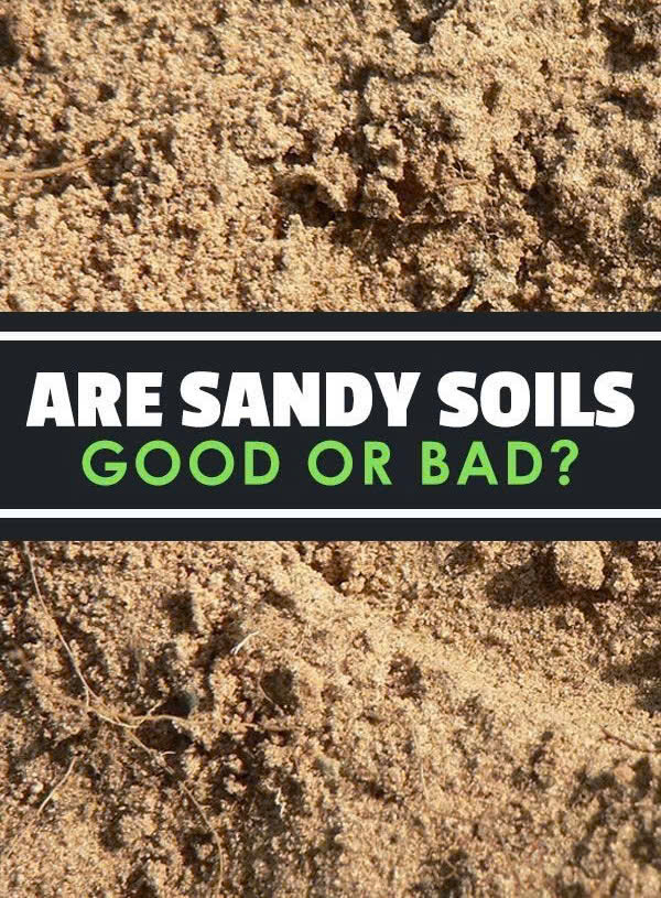 are sandy soils good or bad