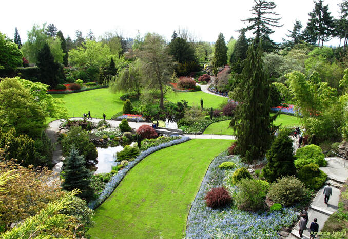 moss killer in vacnouver