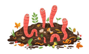 Worm Castings: The Secret Ingredient for Thriving Organic Vegetables