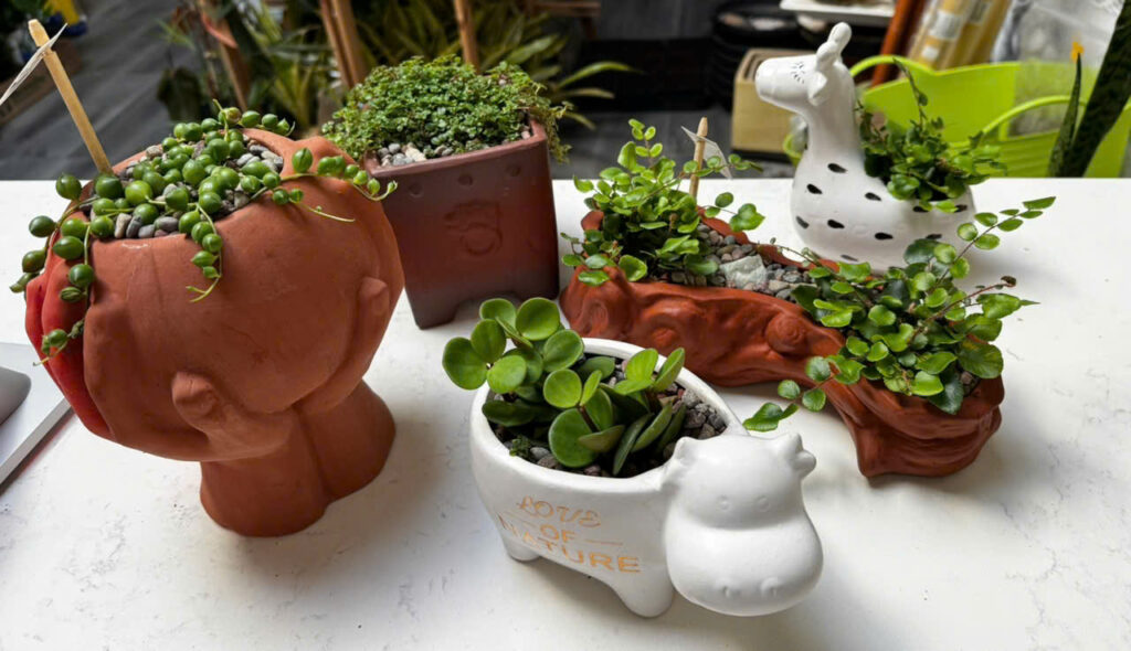 That’s where our little plant pots come in — like a gentle breeze of artistry flowing into your home.