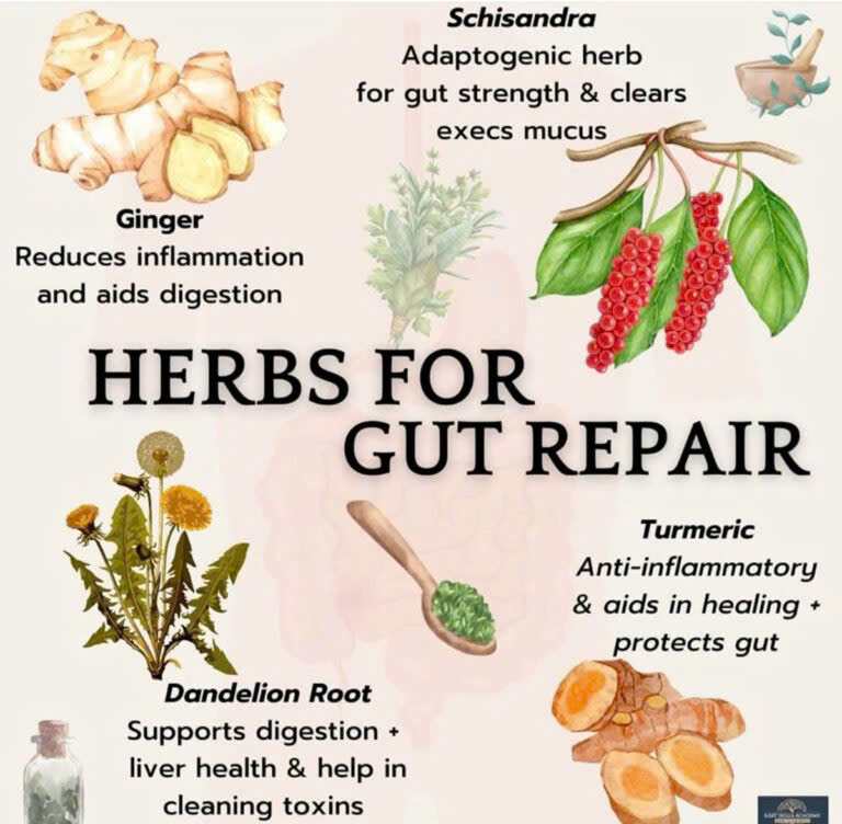 4 Gut-Healing Herbs You Can Grow at Home