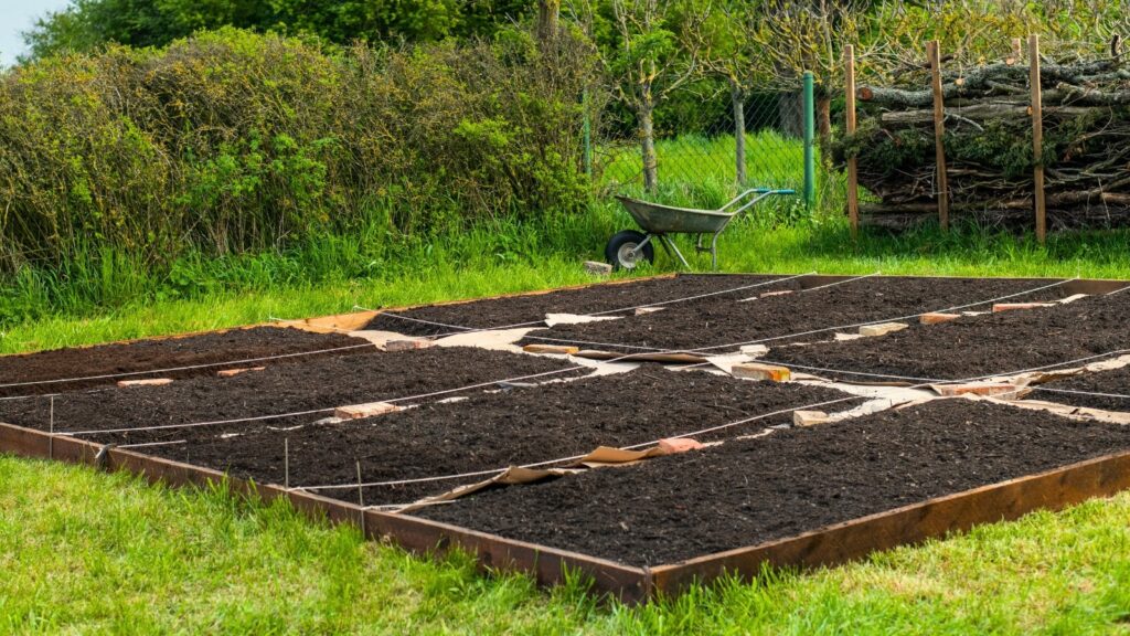 The Surprising Truth About No Dig Gardening Most Gardeners Don’t Know