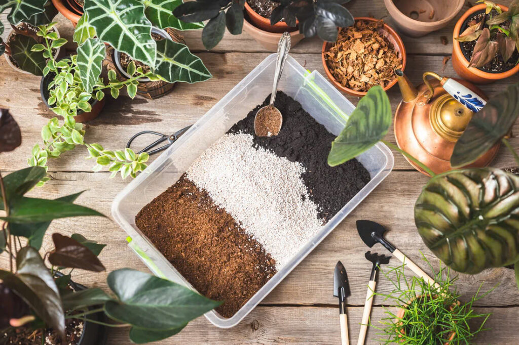 Soil Mixing Guide: 5 Essential Steps to Create the Perfect Growing Mix