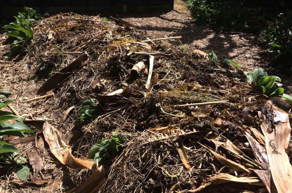 The Secret to a Thriving Garden? Stop Growing Plants. Start Growing Soil.