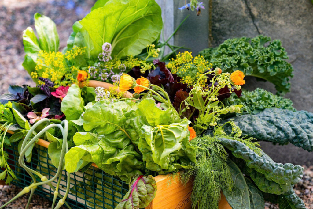 edible gardening