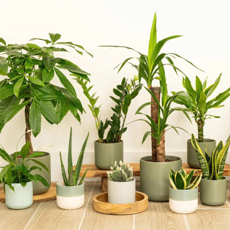 indoor gardening