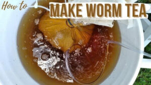 how to make worm tea,How to Use Worm Castings for Maximum Plant Growth (Even if You're a Beginner)
