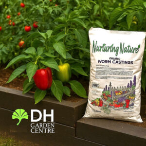 THE BIOLOGY BEHIND WORM CASTINGS – WHY YOUR SOIL COMES ALIVE