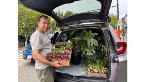 Darrell handpicks plants from the greenhouse to bring back to the store.