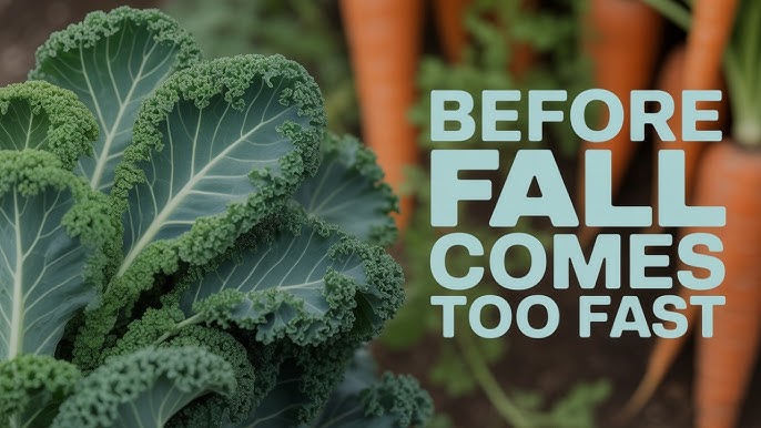 5 Vegetables You Can Plant in Fall and Forget All Winter