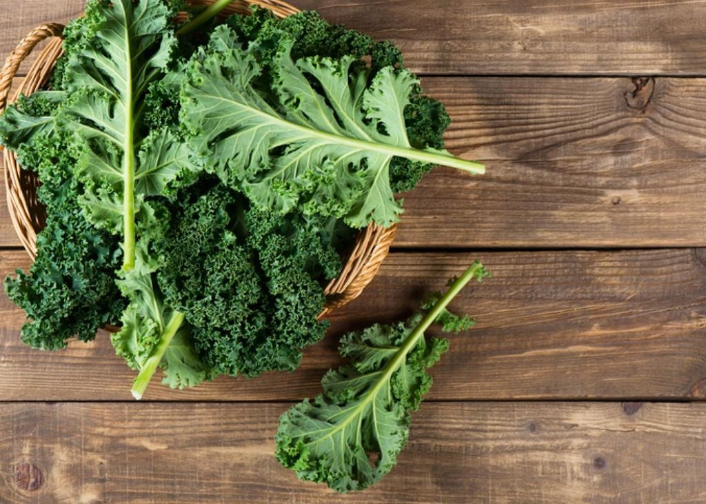 How to Grow Kale in Vancouver: Expert Tips from 20 Years in the Garden