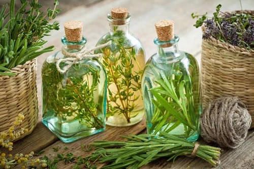 The Complete Guide to Rosemary Water for Hair Growth: Benefits, Recipe, and Expert Routine