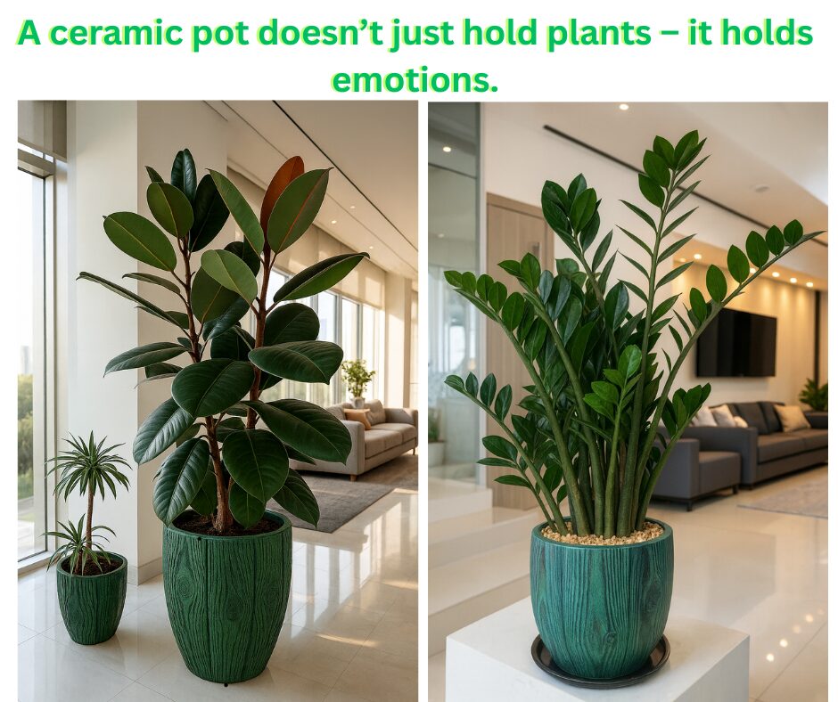 Repotting isn’t just swapping an old container for a new one, it’s giving your plant fresh energy.