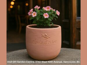 Best Pot Size for Indoor Plants: Your Complete Guide from Vancouver’s DH Garden Centre