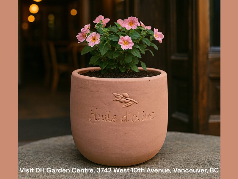 If you fall in love with a decorative unique pottery piece from Kitsilano that doesn’t have one, slip a smaller nursery pot inside.