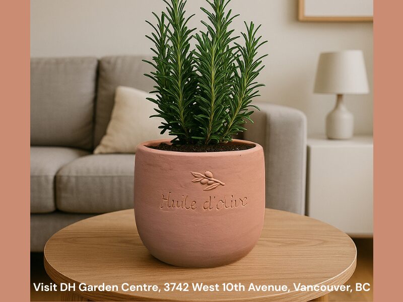 The right pot doesn’t just suit the plant. It also suits you—your space, your style, and the way you live with plants every day.