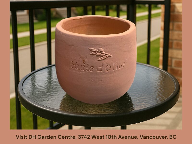 At 3742 West 10th Avenue, Vancouver, our small, family-run garden centre in Kitsilano is more than a store—it’s a place where gardening knowledge meets design inspiration.