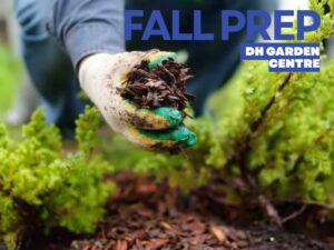 Preparing Your Raised Beds and Containers