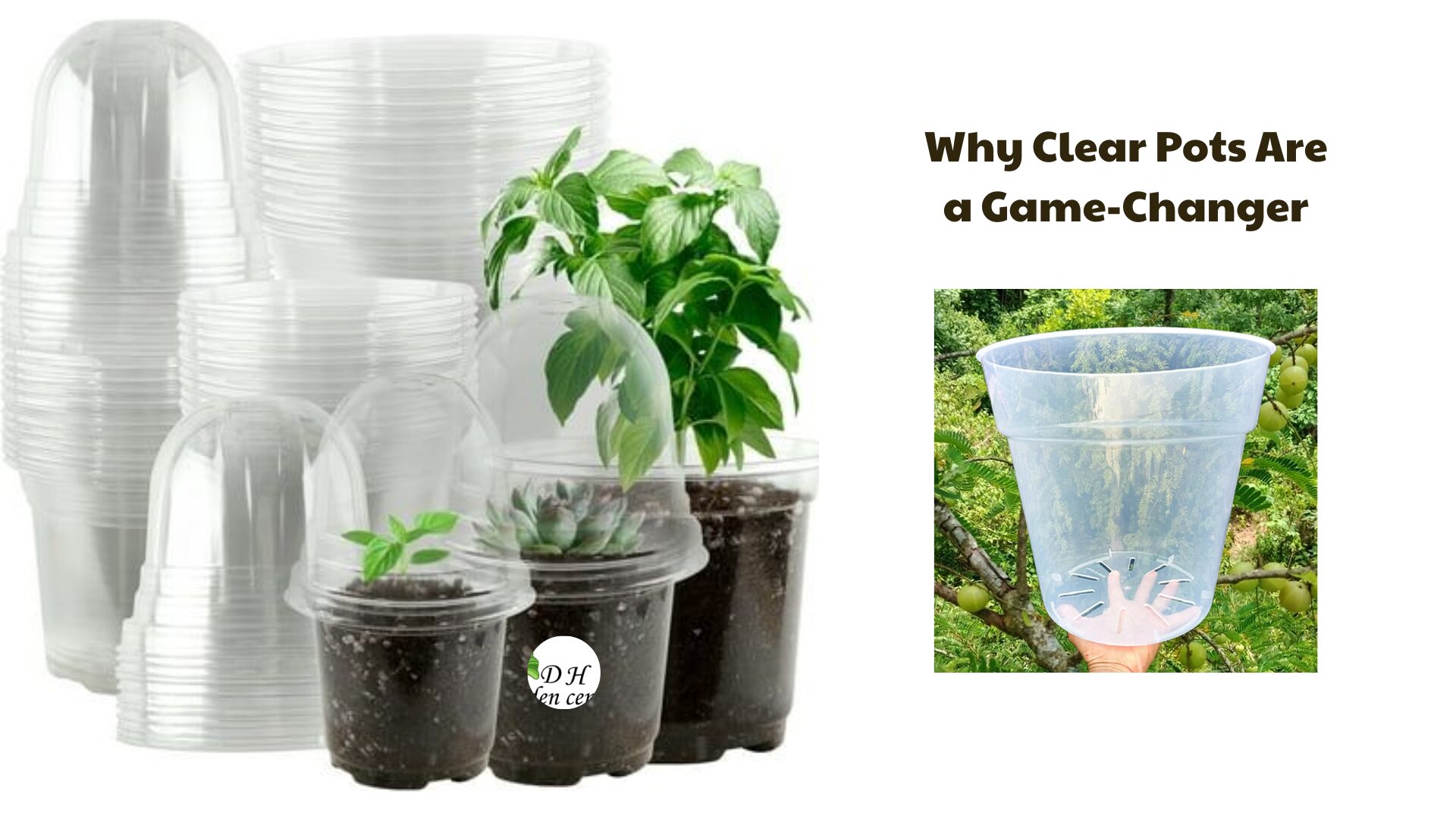 Many indoor growers pot directly into a clear pot for houseplants and then tuck it inside a decorative cover pot.