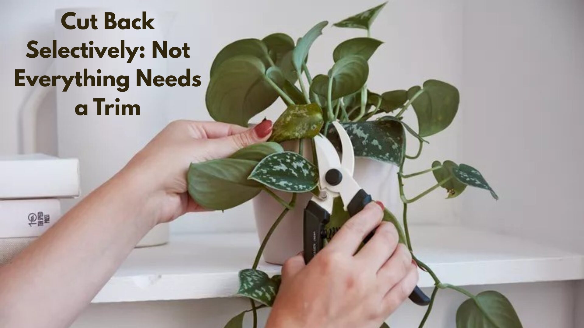 One common November mistake is cutting back everything in sight. The truth? Cutting back should be selective, not automatic.