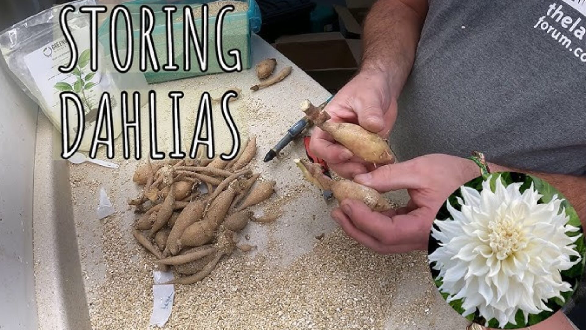 Line your container with layers of newspaper or burlap. Burlap is especially useful if you already have it on hand from deliveries or landscaping projects.