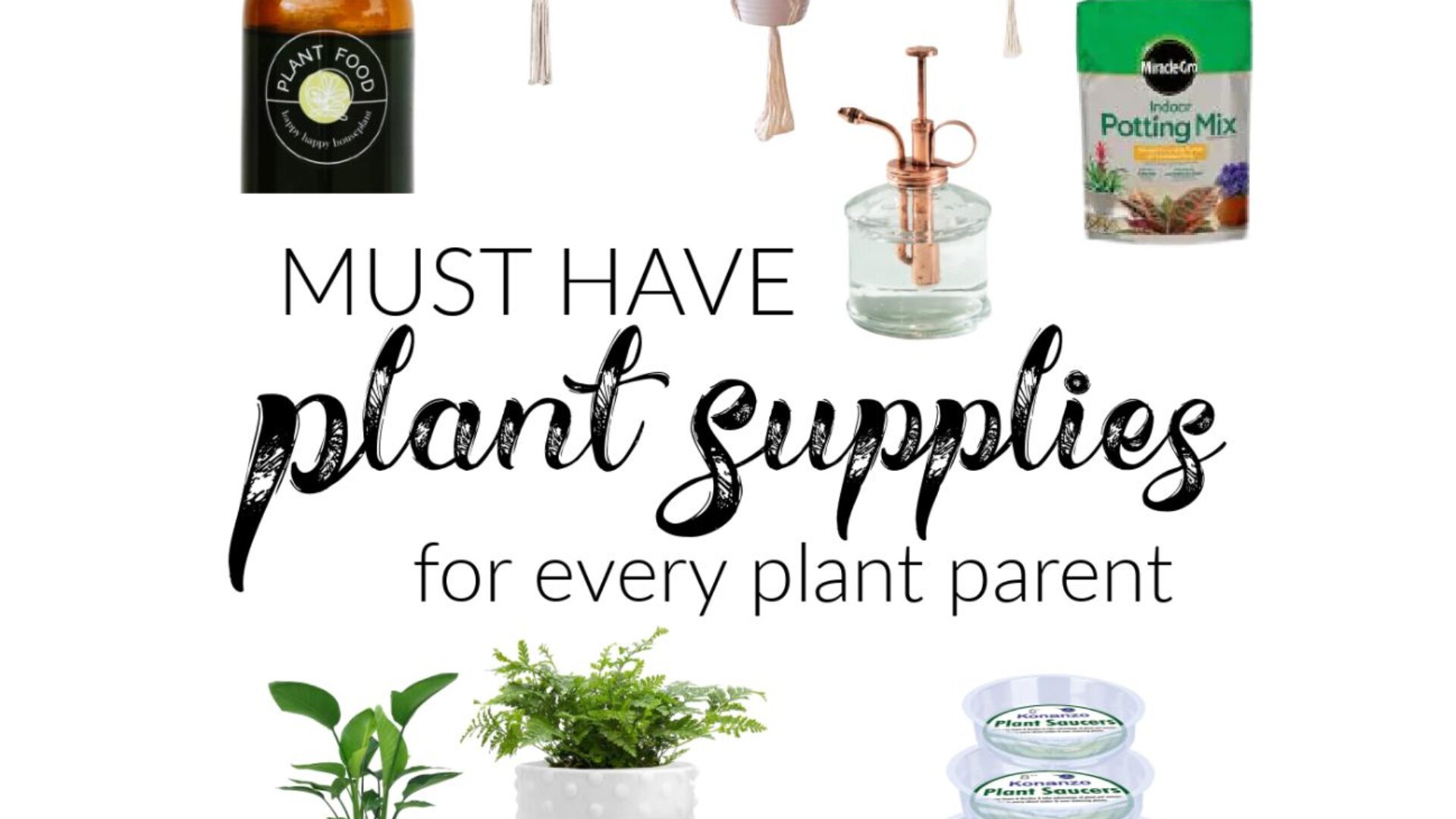 In this guide, we’ll walk through the main indoor plant supplies that truly make a difference: