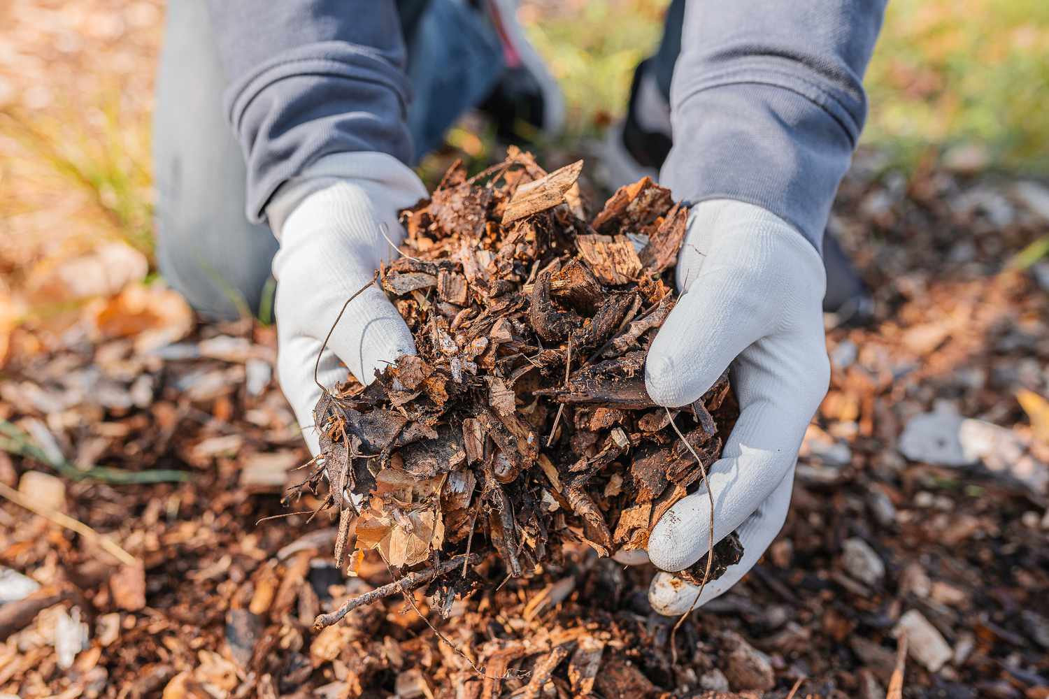 One of the best mulches, period. Leaf mulch improves soil texture rapidly.