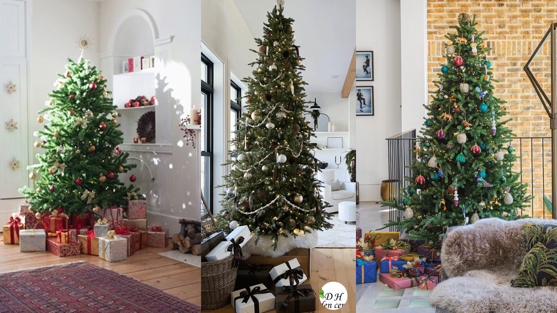 Vancouver homes can get dry during winter heating, so consider using a humidifier near the tree — this is a trick many plant nurseries Vancouver recommend for better needle retention.