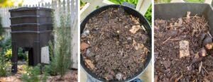 Worm Composting for Beginners: The No-Dig Gardener’s Secret to Rich, Living Soil