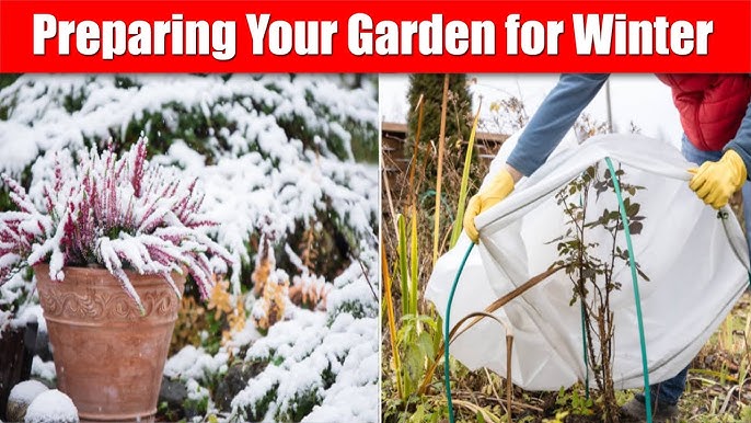 As autumn settles in and temperatures begin to drop, November becomes one of the most important months for preparing your garden for winter