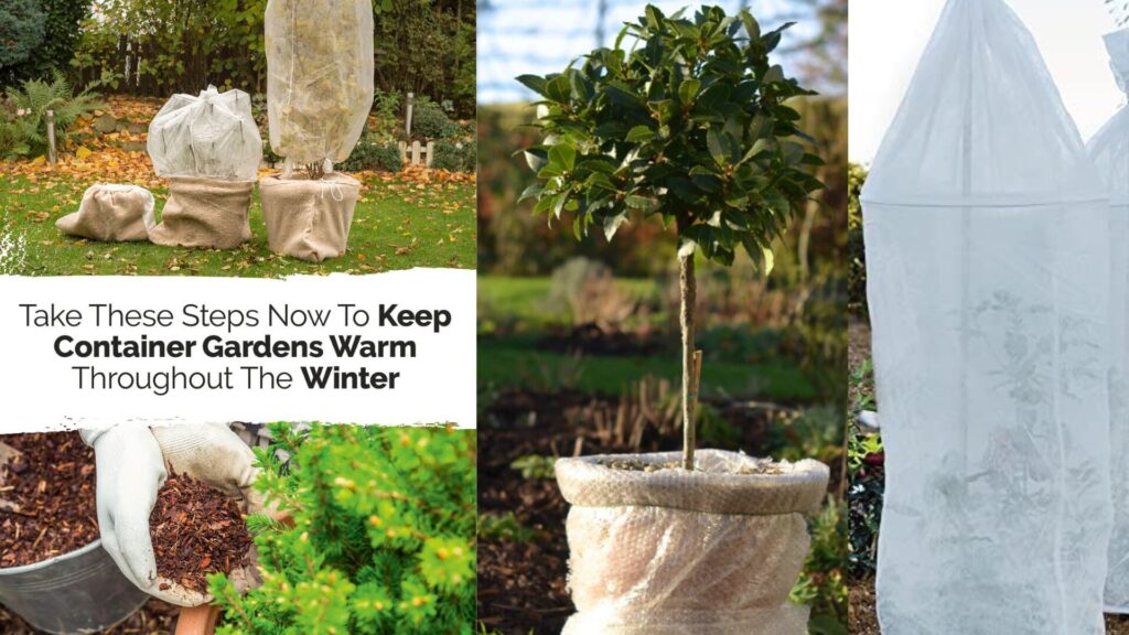 Cold Protection with Bottles or Pots