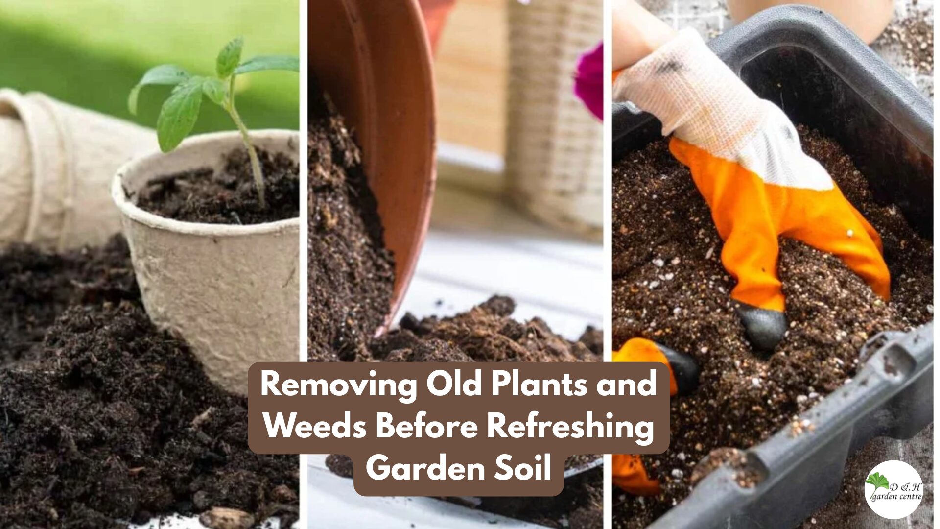 Removing Old Plants and Weeds Before Refreshing Garden Soil
