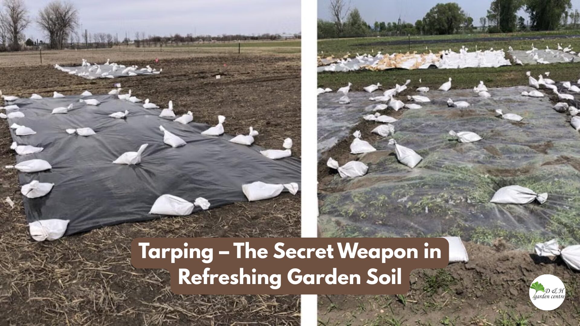 Tarping – The Secret Weapon in Refreshing Garden Soil