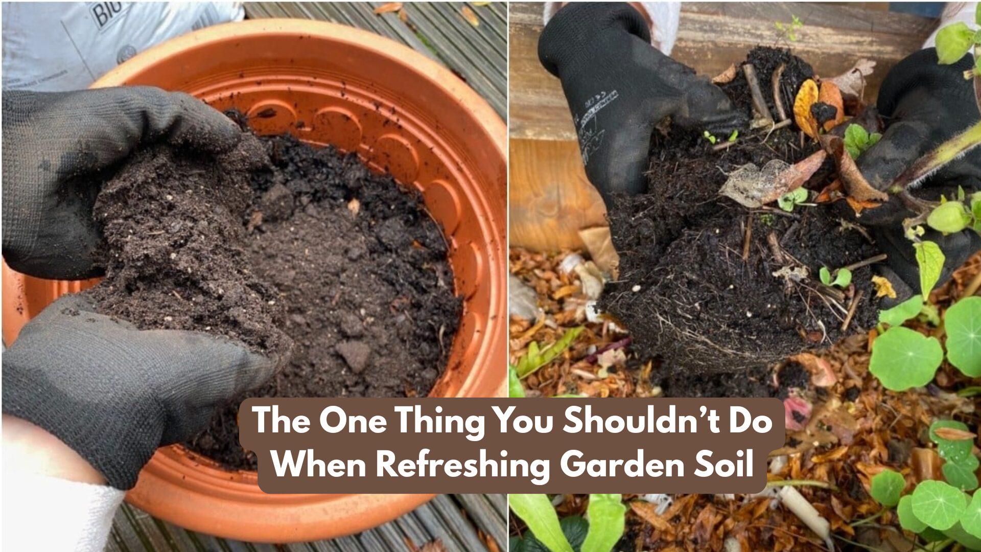 The One Thing You Shouldn’t Do When Refreshing Garden Soil