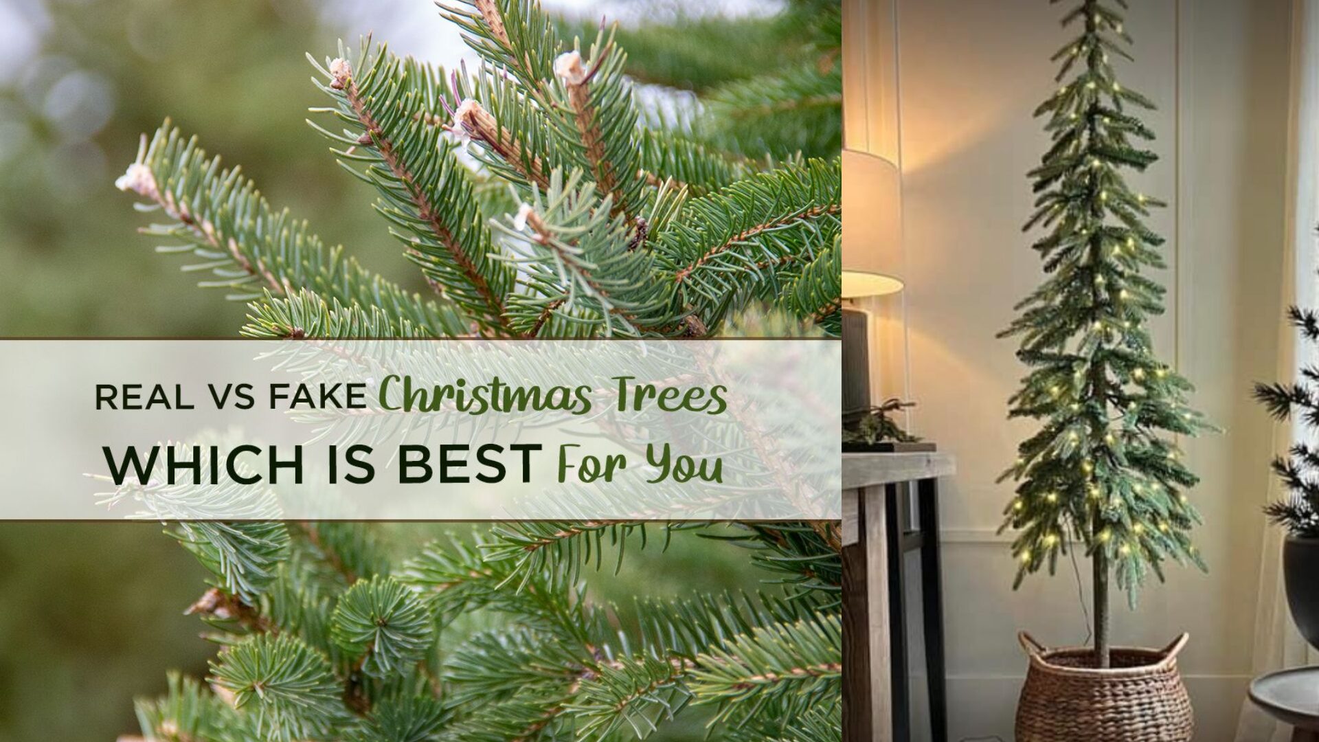 Real trees bring fragrance, texture, and a classic holiday vibe that artificial trees can’t fully replicate.