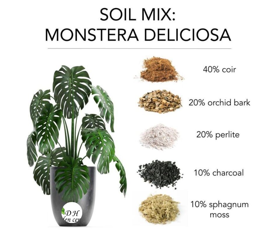 These mixes are particularly useful if you have a large collection and want to streamline your houseplant supplies.