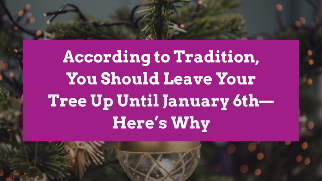 When Is the Right Time to Take Down Your Christmas Tree?