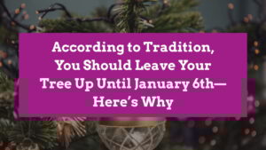 When Is the Right Time to Take Down Your Christmas Tree?