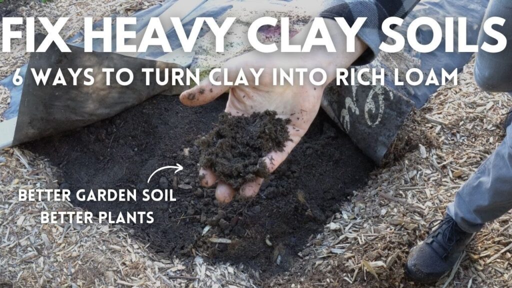 How Do I Improve Heavy Clay Soil in the Garden?