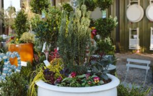 6 Stunning Winter Container Ideas to Transform Your Home All Season Long