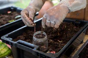 How to Start a Small Indoor Worm Bin: A Step-by-Step Expert Guide