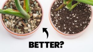 Indoor plant soil is not just something that holds a plant upright. It is a life-support system.