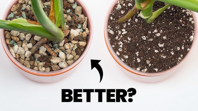 Indoor plant soil is not just something that holds a plant upright. It is a life-support system.