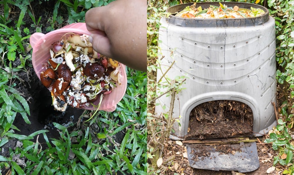 Rookie Mistake #1: Using Multi-Purpose Compost Indoors