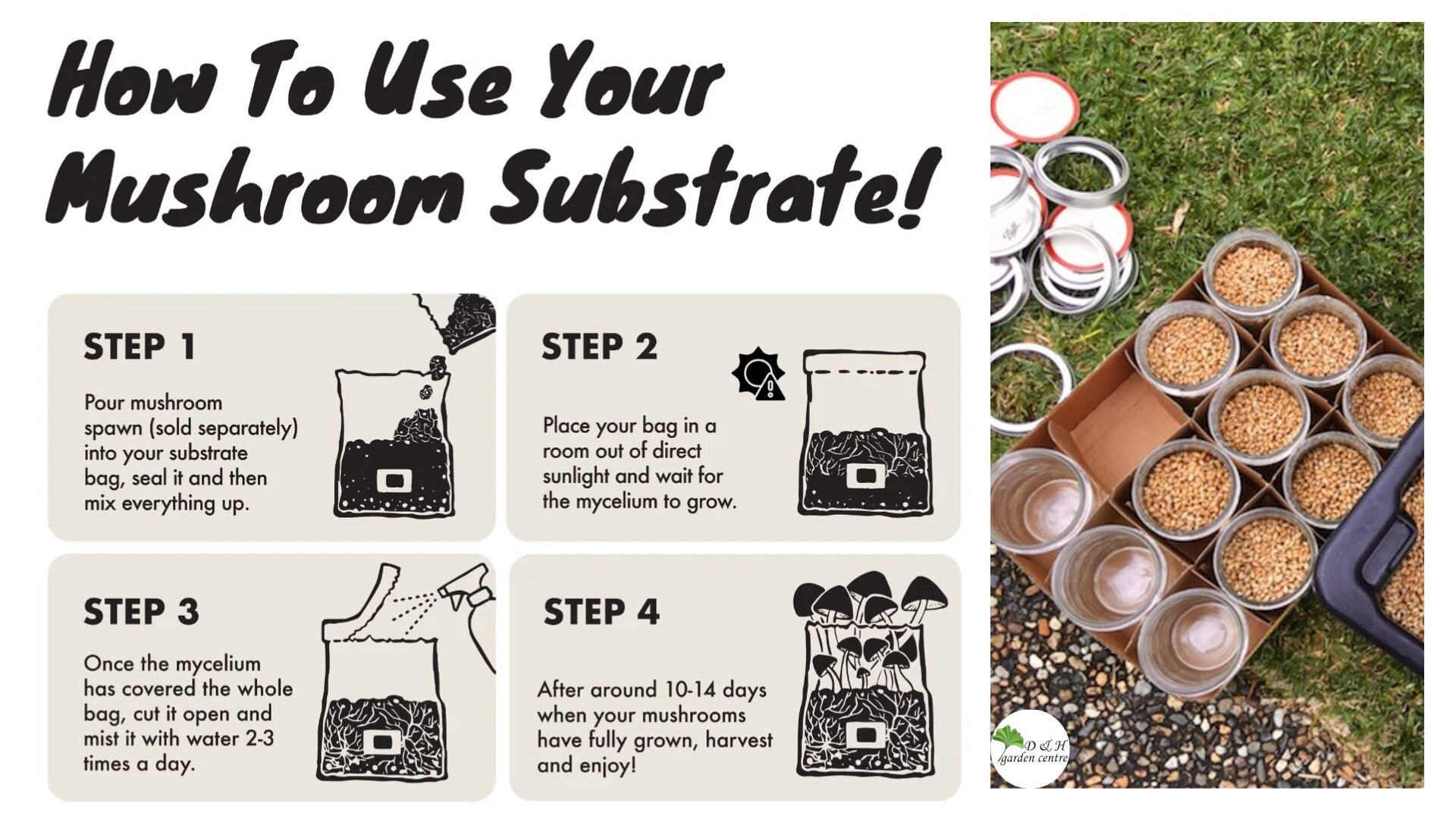 Break up the spawn between your hands so the grains separate. This helps the mycelium spread more efficiently.