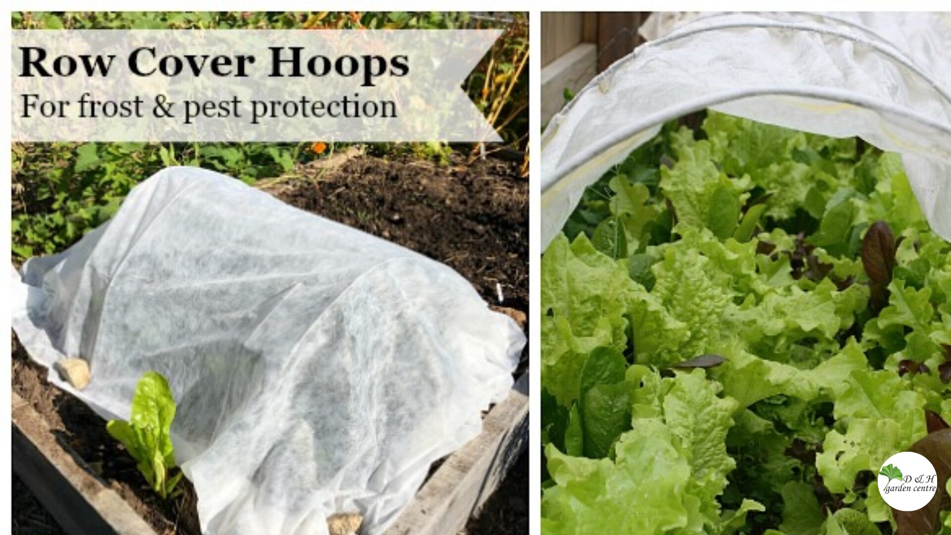 Strong winds don’t just cause physical damage, they dry out soil, stress roots, and dislodge new plantings.