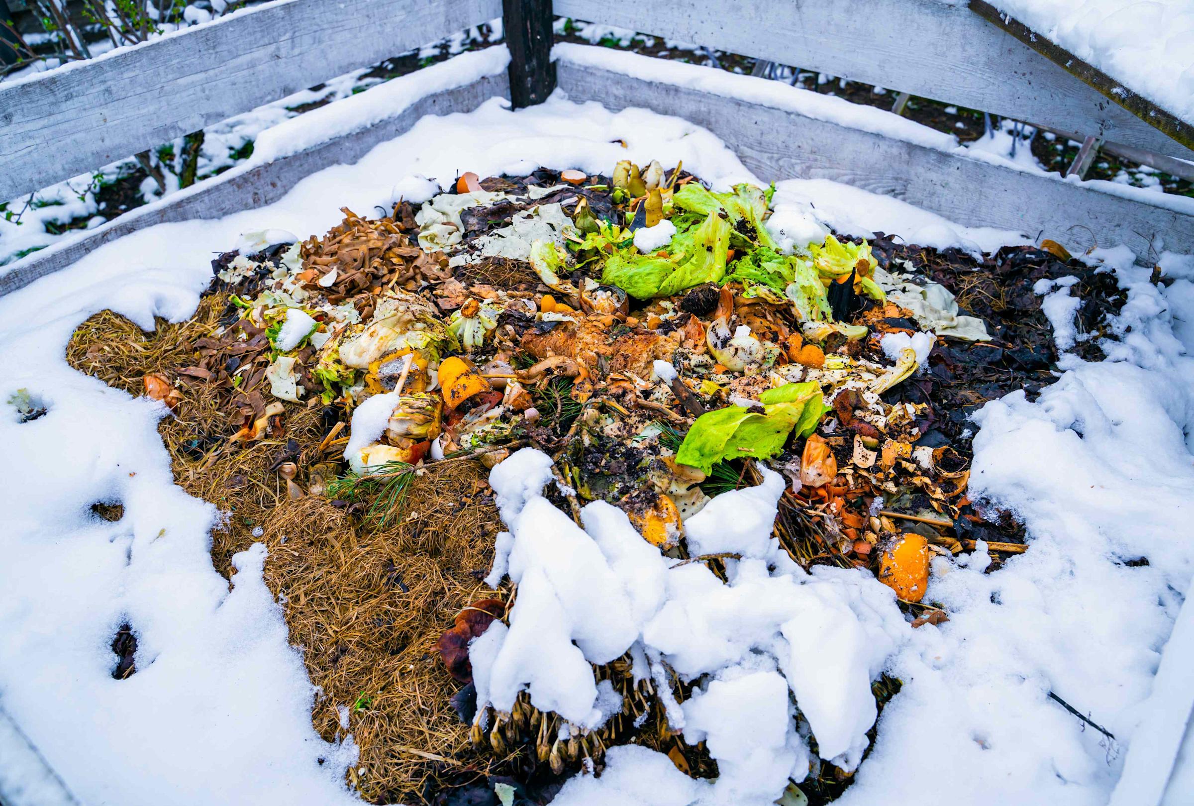 Winter Composting: 6 Essential Tips to Keep Your Pile Working All Season